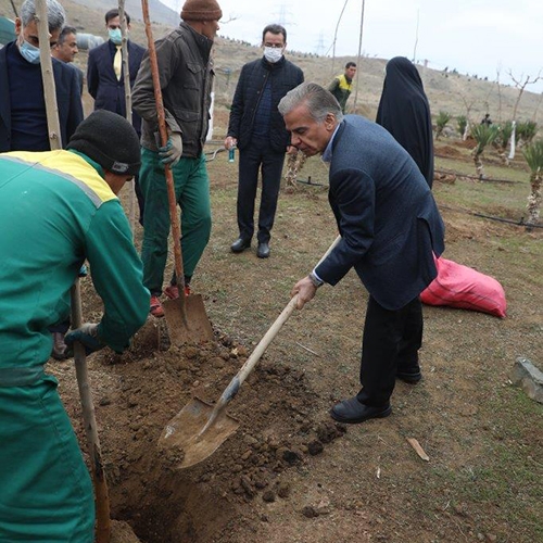 بزرگداشت روز درختکاری در هزار و یک شهر